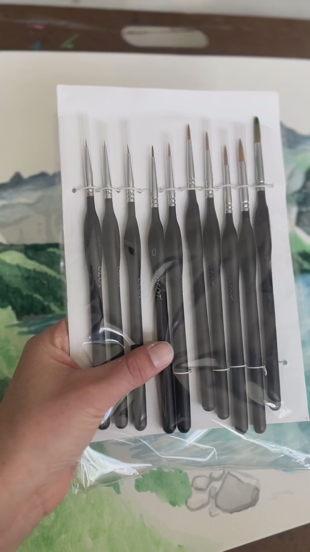 Olot Brushes 10 Piece Set